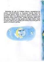 AY PRENSESİ - Hamide Kocadoru