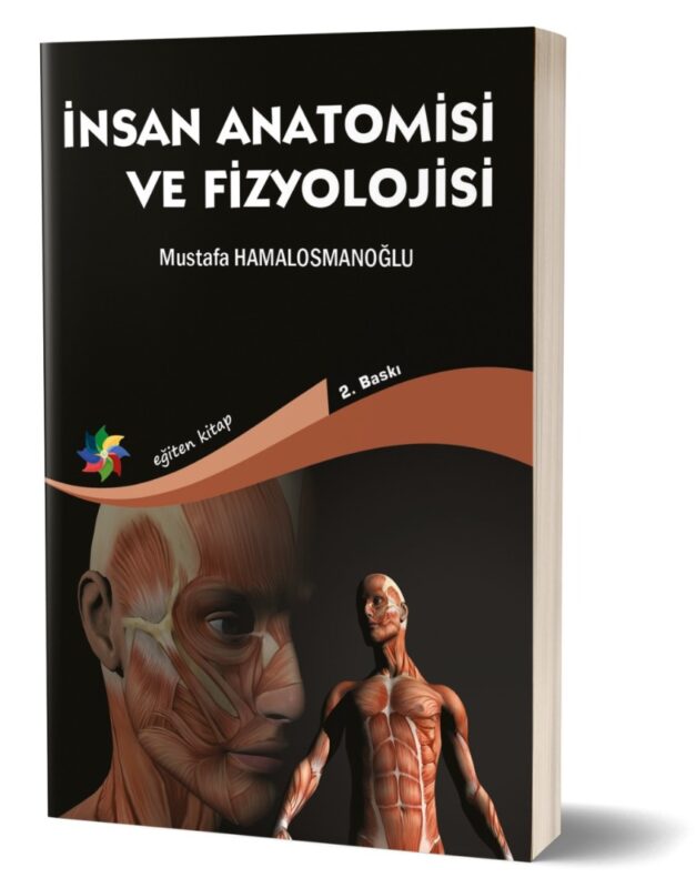 İNSAN ANATOMİSİ ve FİZYOLOJİSİ