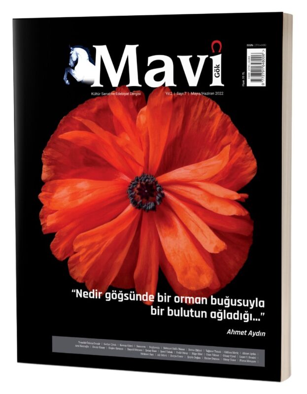 MAVİ GÖK SAYI: 7  KÜLTÜR - SANAT - EDEBİYAT DERGİSİ