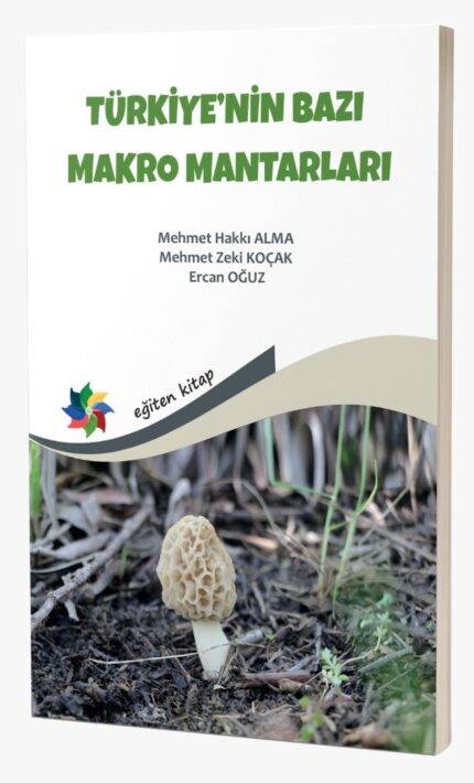 TÜRKİYE'NİN BAZI MAKRO MANTARLARI