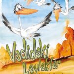 VADİDEKİ LEYLEKLER